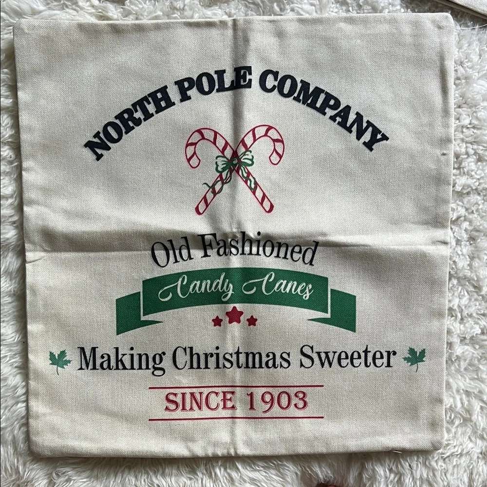 Used Once - Christmas Holiday Decorative Pillow Covers Set 17x17